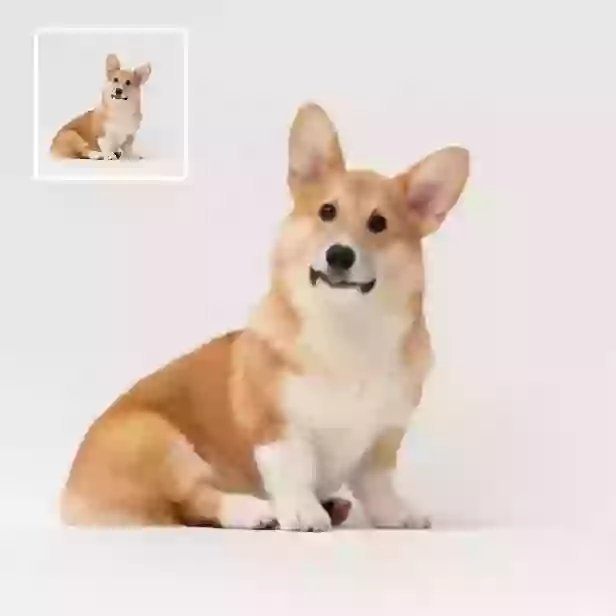 画像から動画を作成する - 写真から高品質な動画を作成する