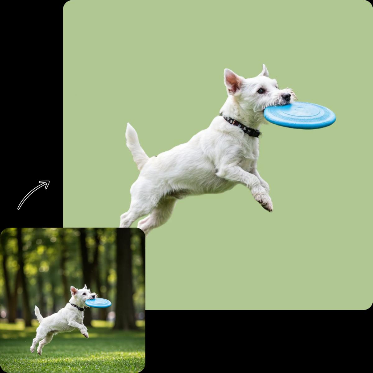 remove_color_from_image feature image 4