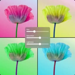 画像HSL placeholder