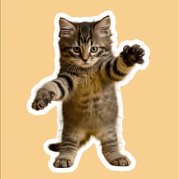 画像の概要 placeholder