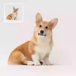 画像からビデオへ placeholder